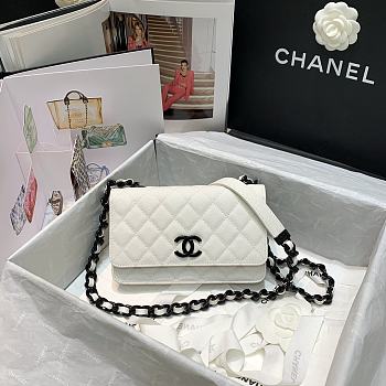 Details Chanel Classic Flap Bag White 81059 19 cm