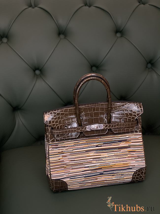 Hermes Birkin With Vibrattrat 25 cm - 1