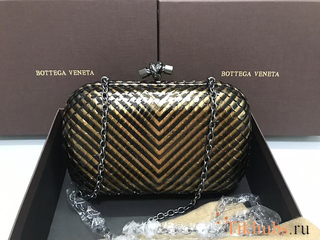 Bottega Veneta Chain Python Skin 8700 Size 20 x 12 x 5 cm - 1