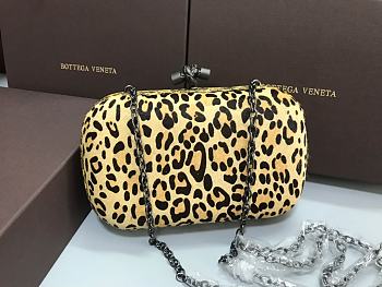 Bottega Veneta Chain Original Horse Hair 8600 Size 20 x 12 x 5 cm