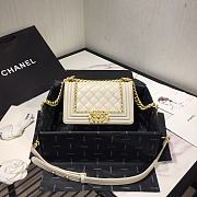 Chanel LeBoy Bag Smooth Leather White 67085 Size 20 cm - 1