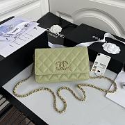 Chanel Woc Green AP1794 Size 19 cm - 1