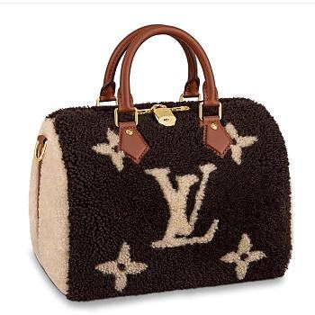 LV Teddy Speedy Bandoulière 25 M55422 Size 30 x 21 x 17 cm