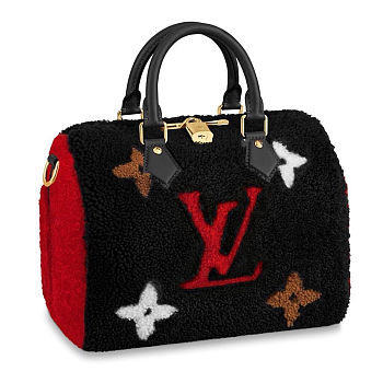 LV Teddy Speedy Bandoulière 25 M55423 Size 30 x 21 x 17 cm