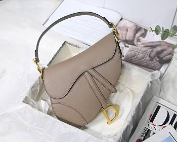 Dior Saddle Warm Taupe M9001 Size 25.5 x 20 x 6.5 cm