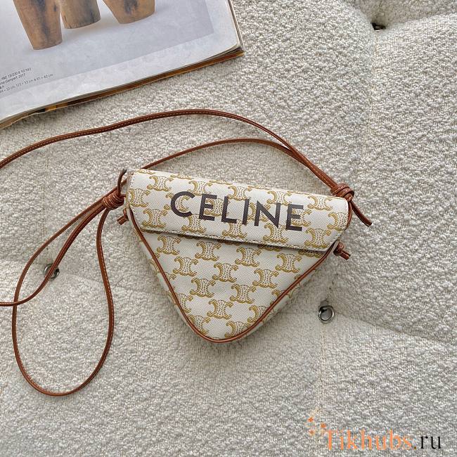 Celine 21ss Triangle Bag Old Gray 4250 Size 21 × 15 × 4 cm - 1
