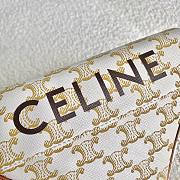 Celine 21ss Triangle Bag Old Gray 4250 Size 21 × 15 × 4 cm - 6