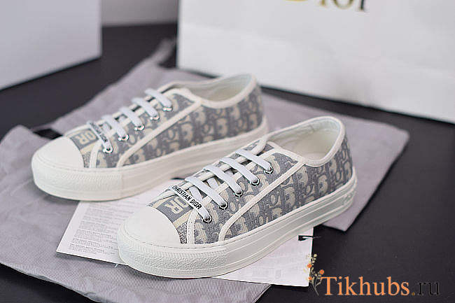 Dior Sneaker Gray 01 - 1