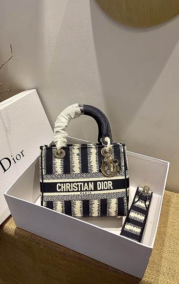 Dior Lady D-Lite Reverse 09 Size 24 x 20 x 11 cm