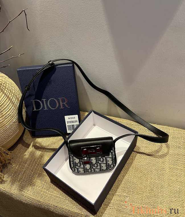Dior Mini 344 Size 11.5 x 7.5 x 2.5 cm - 1