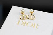 Jewelry Dior Earing  - 2