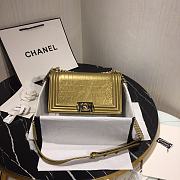 Chanel Leboy Crocodile Pattern Gold 67086 Size 25 cm - 1