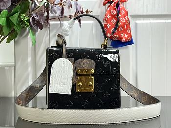 LV Spring Street Handbags Black M90376 Size 17 x 16 x 8.5 cm