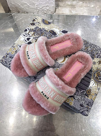 Dior slippers 13