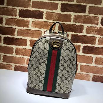 Gucci Backpack Brown 552884 Size 22 x 29 x 15 cm