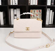 Chanel Calfskin Corssbody Handbag Size 25 x 16.5 x 10 cm - 1