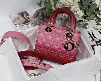 Dior Lady Gradient Rose Red M6016 Size 20cm