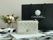 Chanel Woc White Size 21 cm - 6