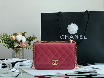 Chanel Woc Pink Size 21 cm