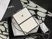 Chanel Box Bag  - 3