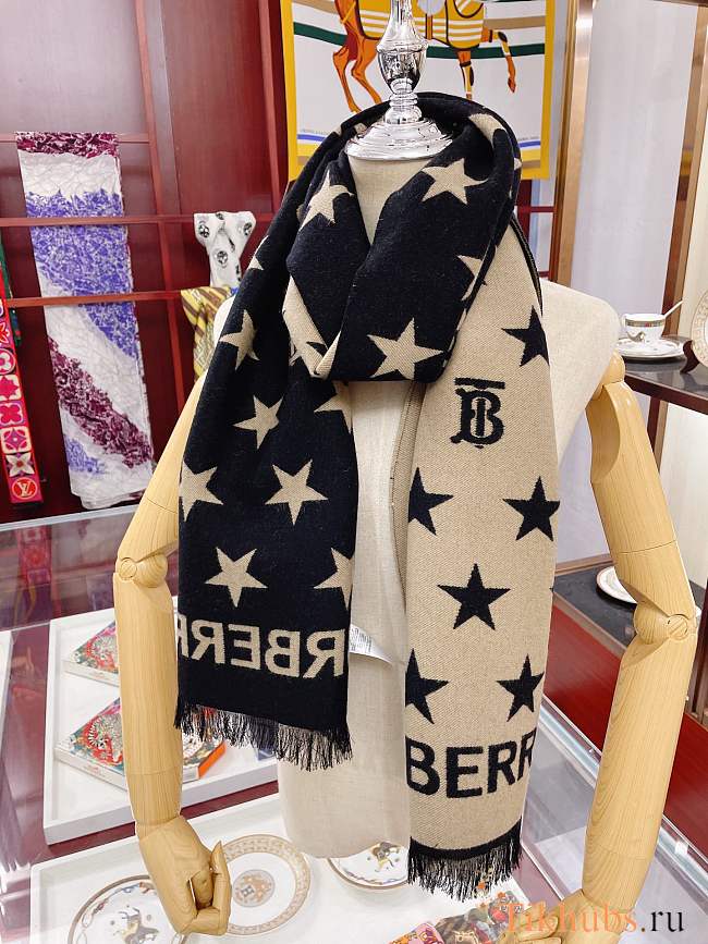 Burberry Scarf 04 180 x 35 cm - 1