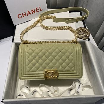 Chanel Leboy Grain Calfskin Green 01 67086 Size 25 cm