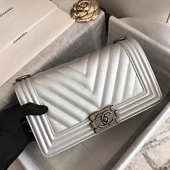 Chanel Leboy Grain Calfskin Light Gray Silver Lock 67086 Size 25 cm