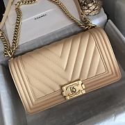 Chanel Leboy Grain Calfskin Beige 67086 Size 25 cm - 1