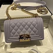 Chanel Leboy Grain Calfskin Light Purple 67085 Size 20 cm - 4