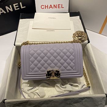 Chanel Leboy Grain Calfskin Light Purple 67086 Size 25 cm
