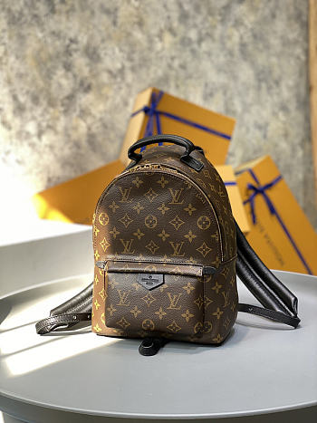 LV Palm Springs PM Monogram M44871 Size 22 x 29 x 10 cm