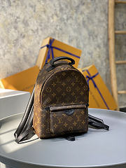 LV Palm Springs PM Monogram M44871 Size 22 x 29 x 10 cm - 4