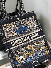 Dior Mini Book Tote Vertical Tarot Card 02 0680 Size 20 x 9 cm - 6