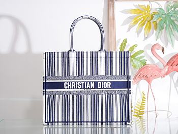 Dior Blue And White Stripes Book Tote Size 41.5 x 32 x 5 cm