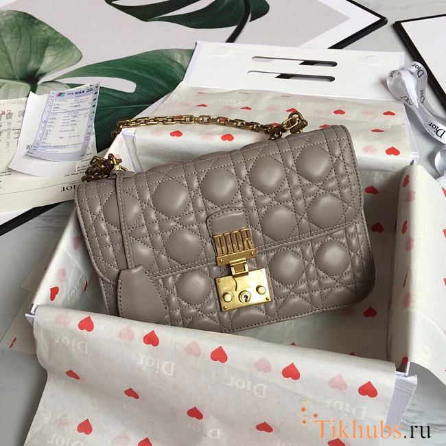 Dior Dioraddict Lambskin Flap Handbag Size 24 x 16 x 8 cm - 1