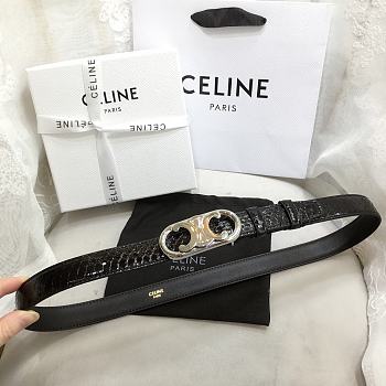 Celine Belt 02