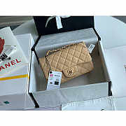 Chanel Mini Flap Bag Gold-Tone Metal Caviar Leather Beige Size 20cm - 3