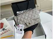 Chanel Mini Flap Bag Silver-tone Metal Caviar Leather Grey Size 20cm - 1