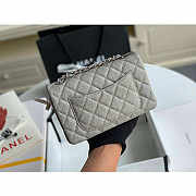 Chanel Mini Flap Bag Silver-tone Metal Caviar Leather Grey Size 20cm - 4