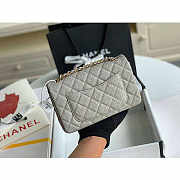 Chanel Mini Flap Bag Gold-tone Metal Caviar Leather Grey Size 20cm - 2