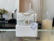 Chanel Lambskin Mini Flap Bag Gold-Tone Metal White Size 20cm - 1