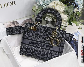 Dior Lady Leopard Print M8002 Size 24 x 20 x 11 cm