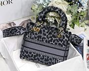 Dior Lady Leopard Print M8002 Size 24 x 20 x 11 cm - 2