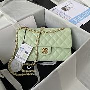 Chanel Flap Bag Lambskin in Light Green 23cm with Gold Hardware A01113 - 1