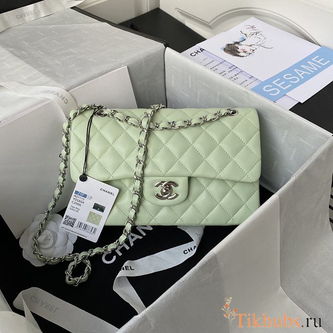 Chanel Flap Bag Lambskin in Light Green 23cm with Silver Hardware A01113 - 1