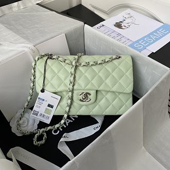 Chanel Flap Bag Lambskin in Light Green 23cm with Silver Hardware A01113