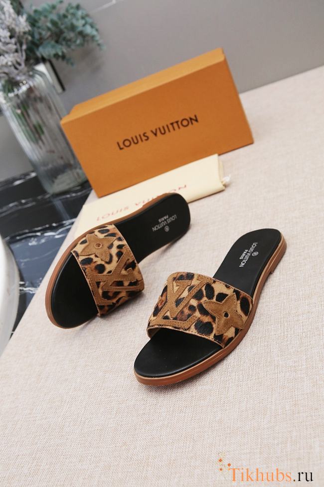 LV Slides  01 - 1