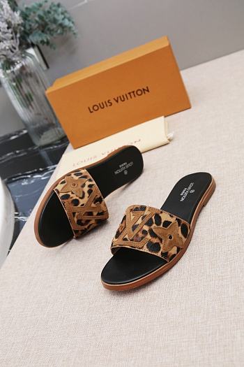 LV Slides  01