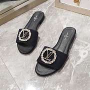 LV Slides 23083 04 - 4