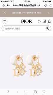 Dior Earrings 01 - 3